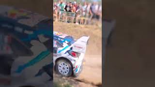 😱 Are they humans  Rally Poland WRC 2024 [upl. by Retepnhoj]