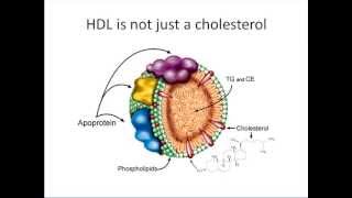 Novel causative relatioship between low and dysfunctional HDL and NAFLD [upl. by Race455]