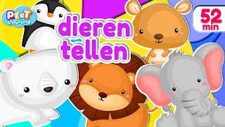 Pretlettertjes Dieren Tellen Special  meer • Voor Baby Dreumes amp Peuter [upl. by Noelyn79]