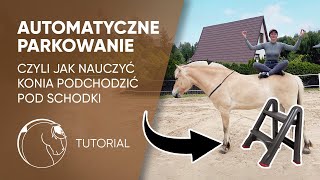 Tutorial  Jak nauczyć konia podchodzić pod schodki [upl. by Adnahc]