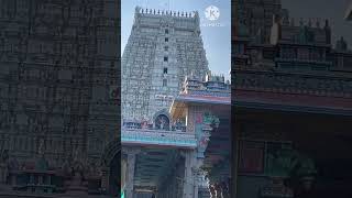 Arunachalam temple  pls like share amp subscribe [upl. by Neirrad]