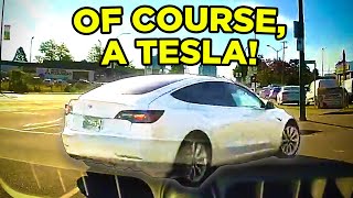 IDIOT in a TESLA CUTS ME OFF IDIOT DRIVERS JUNE 2024 [upl. by Cirone829]