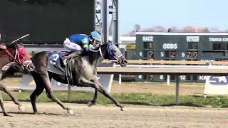 3 yr old filly Hyacinth Bucket runs them down with jockey Dexter Haddock riding to win [upl. by Ydur]