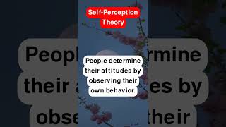 SelfPerception Theory [upl. by Craig]