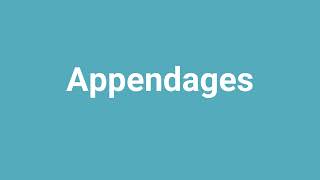 Appendages Meaning and Pronunciation [upl. by Nnyleak]