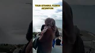 Tour FLORYA AKVARYUM istanbul youtbeshort shortvideo ytshorts zstravellingvlog [upl. by Saimerej679]