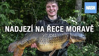 Lov kaprů na řece Moravě  20kg z nadjezí  Vít Ides [upl. by Cilo]