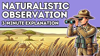 Naturalistic Observation Definition and Examples Explained in 3 Minutes [upl. by Ratna]