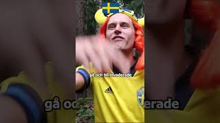 Sverige vs Norden [upl. by Refinej]