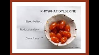 Phosphatidylserine Benefits [upl. by Akeemahs]