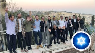 Yeshivah Stars of David CAUSEMATCH [upl. by Alana]