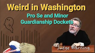 Weird Washington  Pro Se  Guardianship  Judge Warning [upl. by Vladamar215]