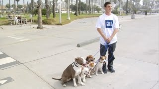 Beach Sesh  Crailtaps Clip of the Day [upl. by Leanard]