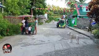 MAYDOLONG EASTERN SAMAR  FIESTA 2023 [upl. by Nalced847]