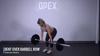 Proper Form For A Bent Over Row [upl. by Nylessej]