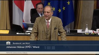 Johannes Hübner  Waffen für den Frieden Corona EUArbeitsprogramm 2023  1442023 [upl. by Koziel]