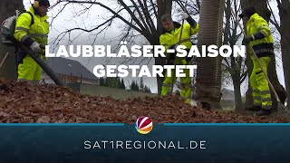 Mit Laubbläsern und Sonderteams Laubentsorgung in Braunschweig gestartet [upl. by Kristofer]