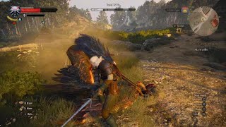 The Witcher 3Royal Griffin DEATH MARCH [upl. by Eiggep]