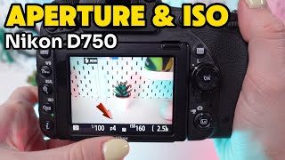 How to Adjust Aperture and ISO on Nikon D750 Exposure Tutorial [upl. by Nitsirhc]