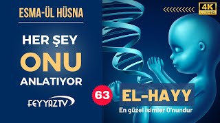 Allahın İsimleri  63 EL HAYY 4K [upl. by Everrs]