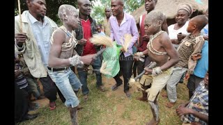 Embracing Bukusu Circumcision Song Culture Arriving at Uncles Place [upl. by Shear]