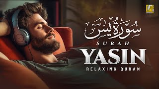 Ramadan Special  Surah Yasin Yaseen سورة يس  Relaxing Heart Touching Recitation  Zikrullah TV [upl. by Alinoel]