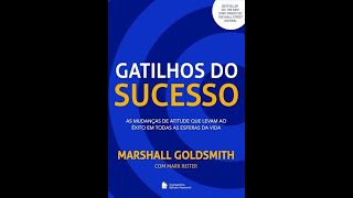 Livro Gatilhos do sucesso As mudanças de atitude que levam ao êxito em todas as esferas da vida [upl. by Ressay]