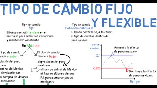 Tipo de cambio fijo y flexible  Cap 16  Macroeconomía [upl. by Deana]