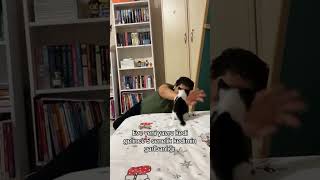 Ama onu da sevin nolurr 😿 catlovers cat kedi cats köpek kediler 🎥İremgilgiler [upl. by Ognimod231]