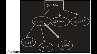 EntityRelationship Model  Attribute  Simple Composite Singlevalued amp Multivalued attribute [upl. by Gino]