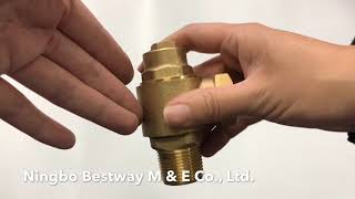 BW F03 Brass ferrule valve [upl. by Frolick557]