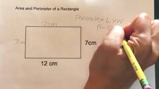 How to find the Area and Perimeter of a Rectangle [upl. by Letnom]