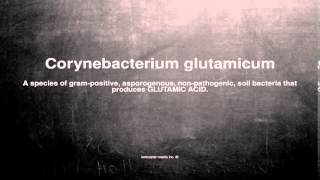 Medical vocabulary What does Corynebacterium glutamicum mean [upl. by Ailgna]