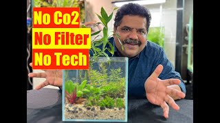 How to make No Filter No Co2 Low Tech  Natural Aquarium  Mayur Dev Aquascaper 4K [upl. by Hazaki]