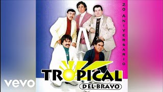 Tropical Del Bravo  El Tao Tao Audio Oficial [upl. by Kalila311]