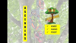 Ascenders Overview  Knee Ascenders Hand Ascenders and Foot Ascenders for Arboriculture [upl. by Gaston]