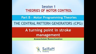 THEORIES OF MOTOR CONTROL Part B  Motor Programming Theories quotTHE CENTRAL PATTERN GENERATORSquot [upl. by Nnayllehs]