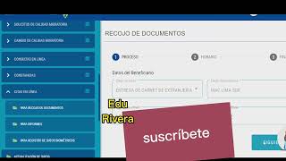 Citas de recoger carnet Migraciones Perú problemas y soluciones [upl. by Aihtekal]