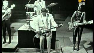 Bo Diddley Road Runner Live [upl. by Hayouqes]