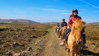 Viking Horse Riding Experience in Iceland [upl. by Osy325]