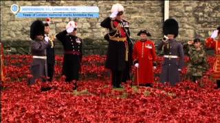 Tower of London Memorial Marks Armistice Day [upl. by Bryna208]