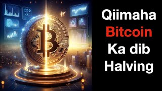 Qiimaha Bitcoin ka dib Halving [upl. by Brodench84]