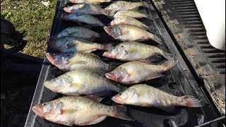 Catching Limits of Crappie in Summer [upl. by Zeidman]