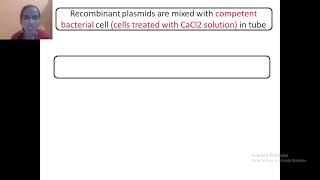 CaCl2 GENE TRANSFER METHOD [upl. by Tallia]