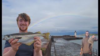 Sea Fishing at Whitehaven Harbour  Pollock catch amp cook [upl. by Reinke]