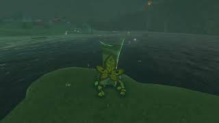 Korok seeds  Nabi Lake  Dueling Peak Tower 32  Zelda BOTW [upl. by Aitnwahs]