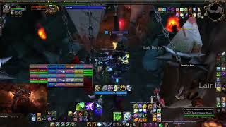 WoW TBC Classic GRUUL Lair FULL RAID Resto Shaman Healer [upl. by Nadaba566]