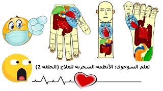 طرق التشخيص و أسرار العلاج الذاتي بالسوجوك Sujok الحلقة 2 [upl. by Asilet]