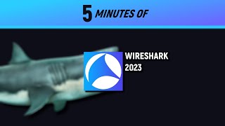 How To Use WIRESHARK in 2024 [upl. by Ahsekahs300]