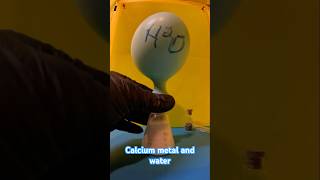 Calcium Metal Reaction stem science [upl. by Racklin15]